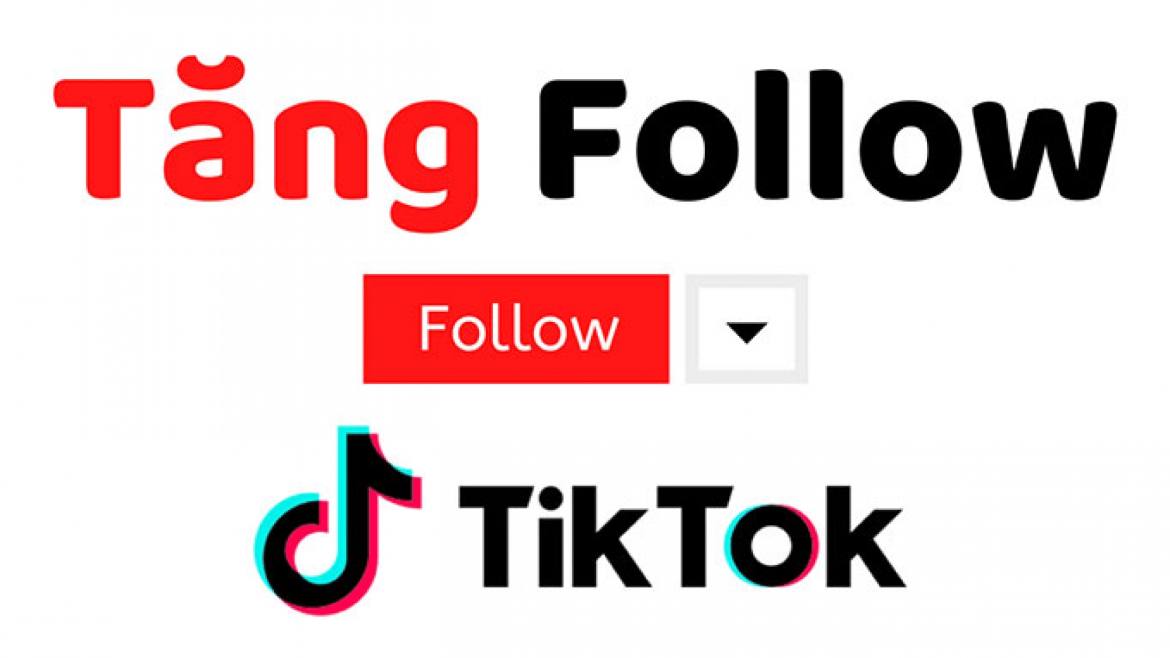 cac-tang-follow-tiktok-mien-phi