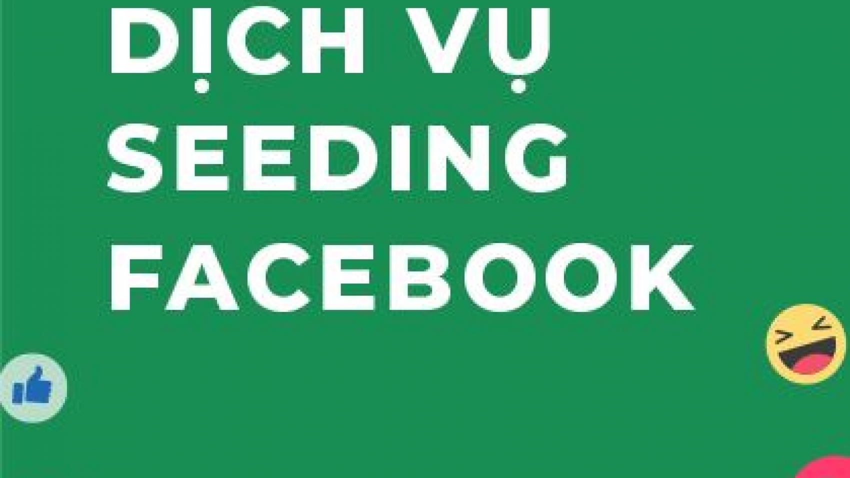 dich-vu-seeding-facebook-chat-luong-7