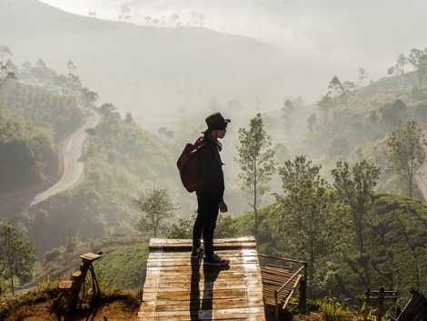 Khám Phá Chức Năng 'Offline Maps' Trong Google Maps